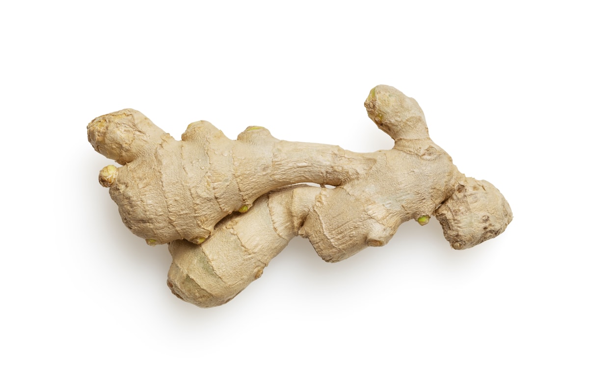 Microbiota Digestiva
